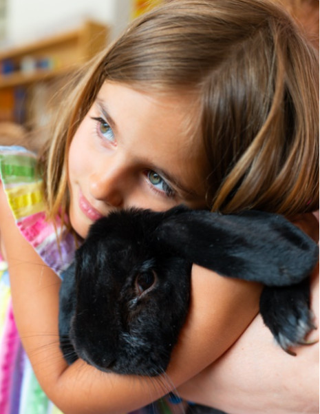 Montessori MŠ Mozaika