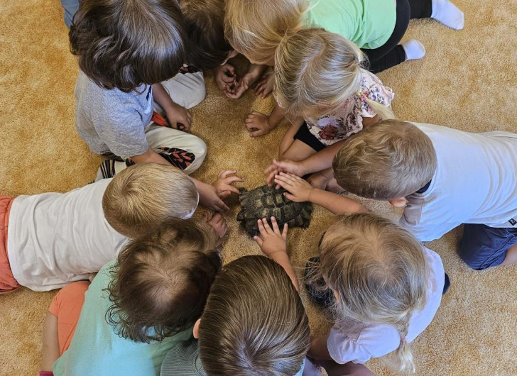 hlídáš dítětem Modřany